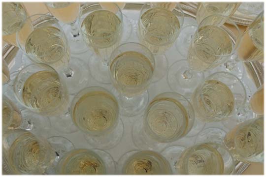 Champagne Glasses